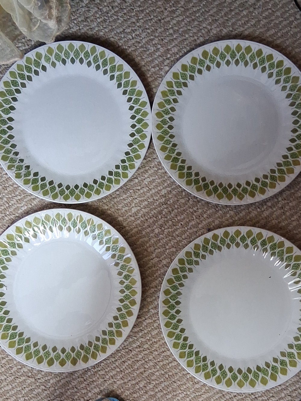 Pontesa Spain Vintage Irinstone Dinner Plates with Green Leaf Border - Set of 4